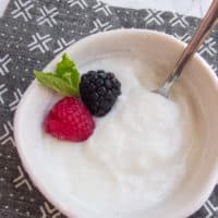 Icelandic Skyr Yogurt