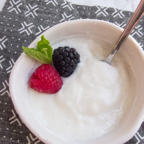 Icelandic Skyr Yogurt