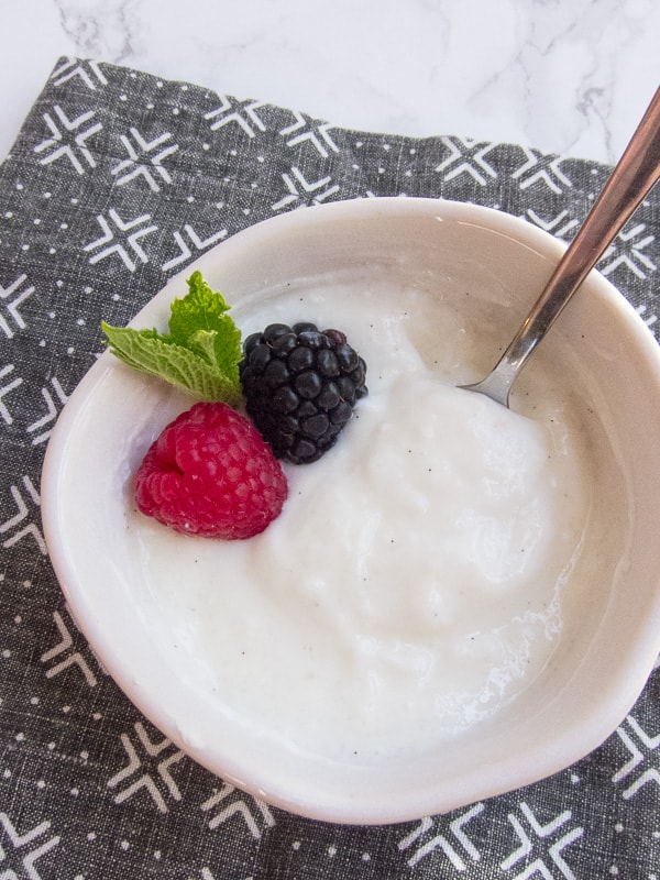 Icelandic Skyr Yogurt