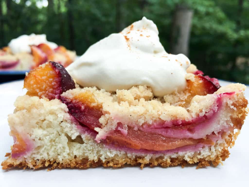 A slice of Zwetchenkuchen  or Plum Cake topped with whipped cream