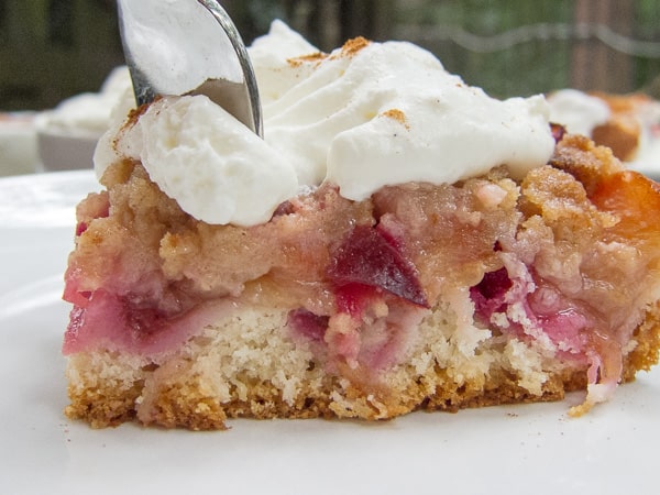 German Plum Cake