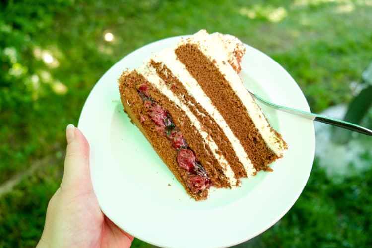 A slice of German Black Forest Cake from a cafe in the Black Forest 