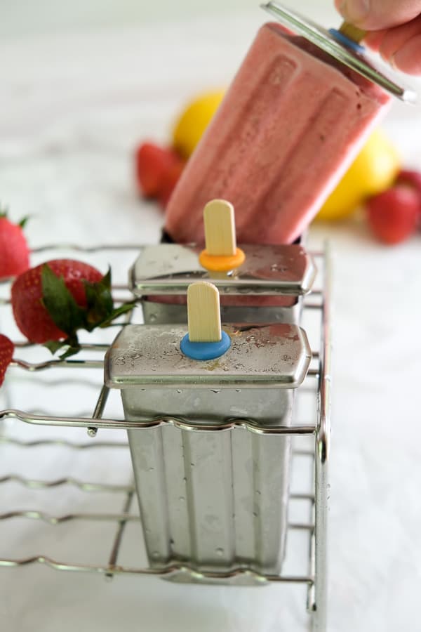 paleta molds