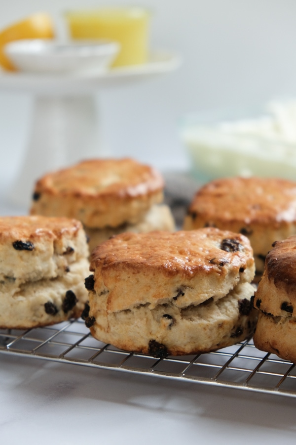 British scones