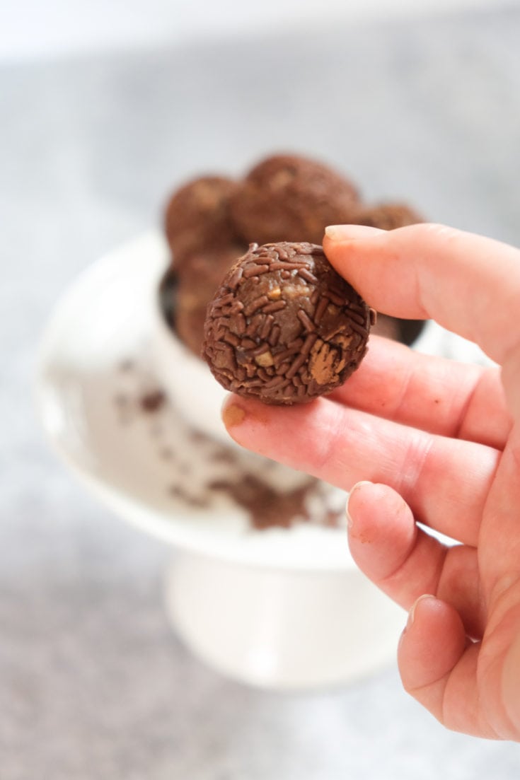 Easy German Rum Balls (Rumkugeln) International Desserts Blog