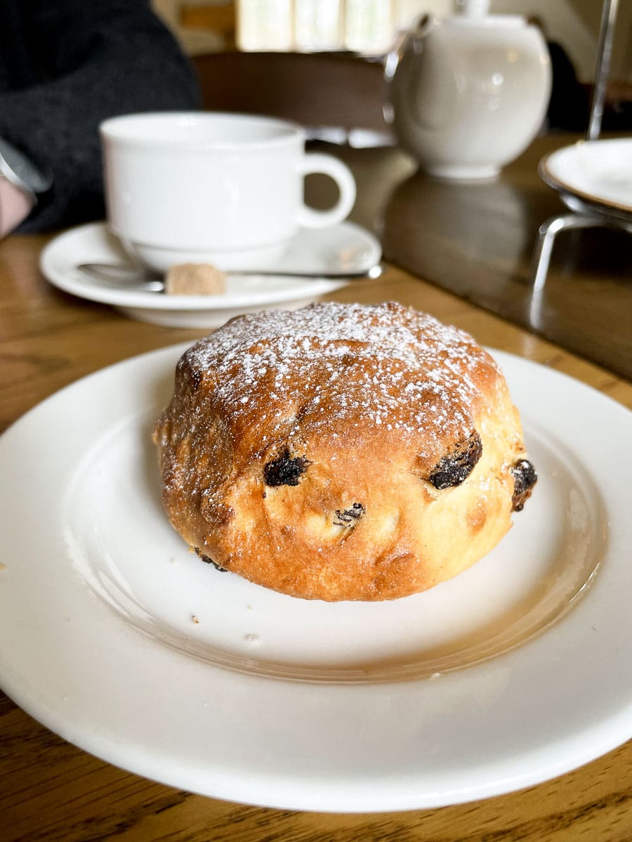 fresh scone